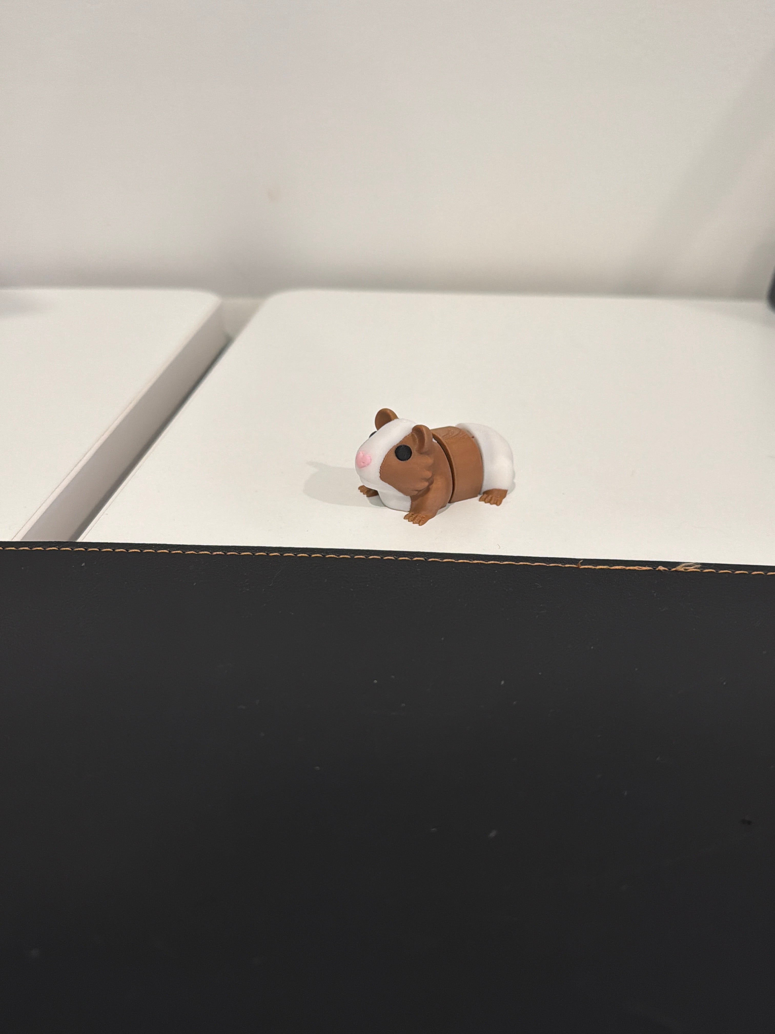 Pet Guinea Pig